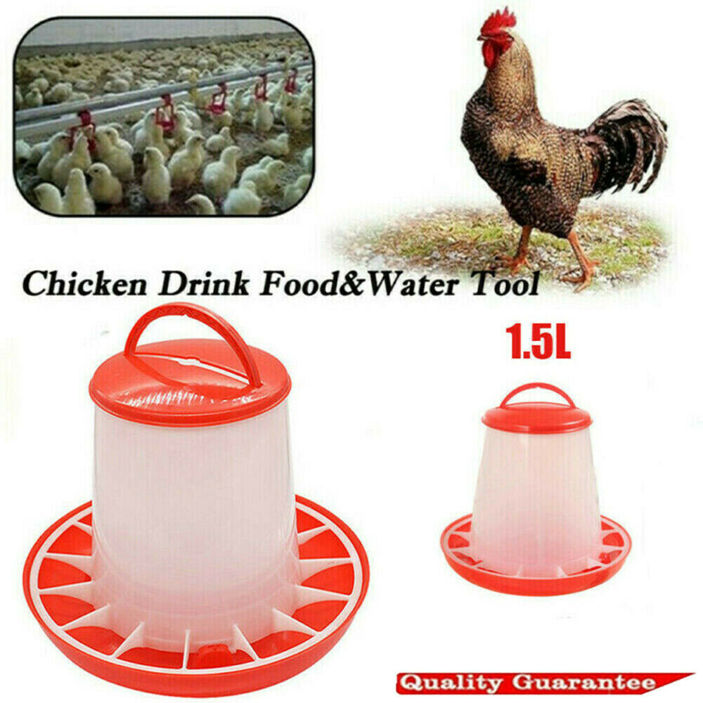Automatic Chicken Bird Chook Poultry Feeder Drinker Chicken Poultry Waterer