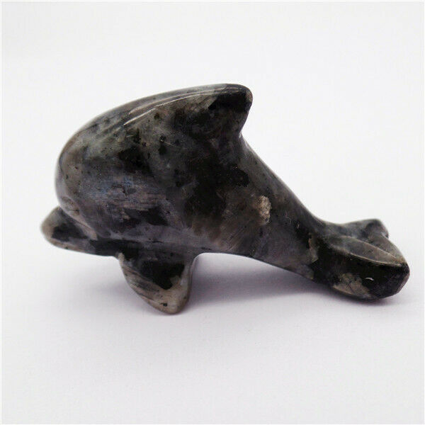 50x28x15mm Natural Black Labradorite Dolphin Statue Healing Decoration HH8136