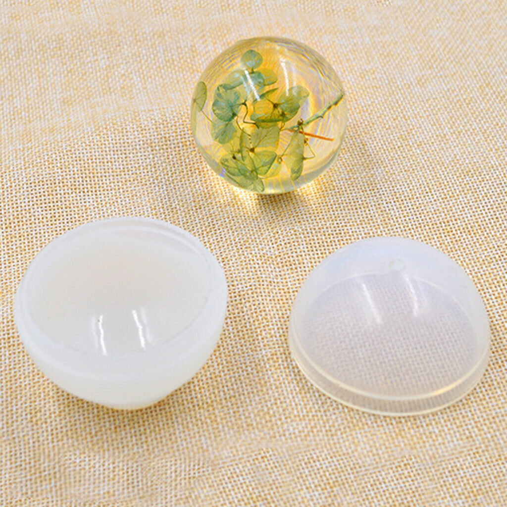 20 Pieces Natural Round 5-Petals Real Flowers Dried Flower for DIY Craft
