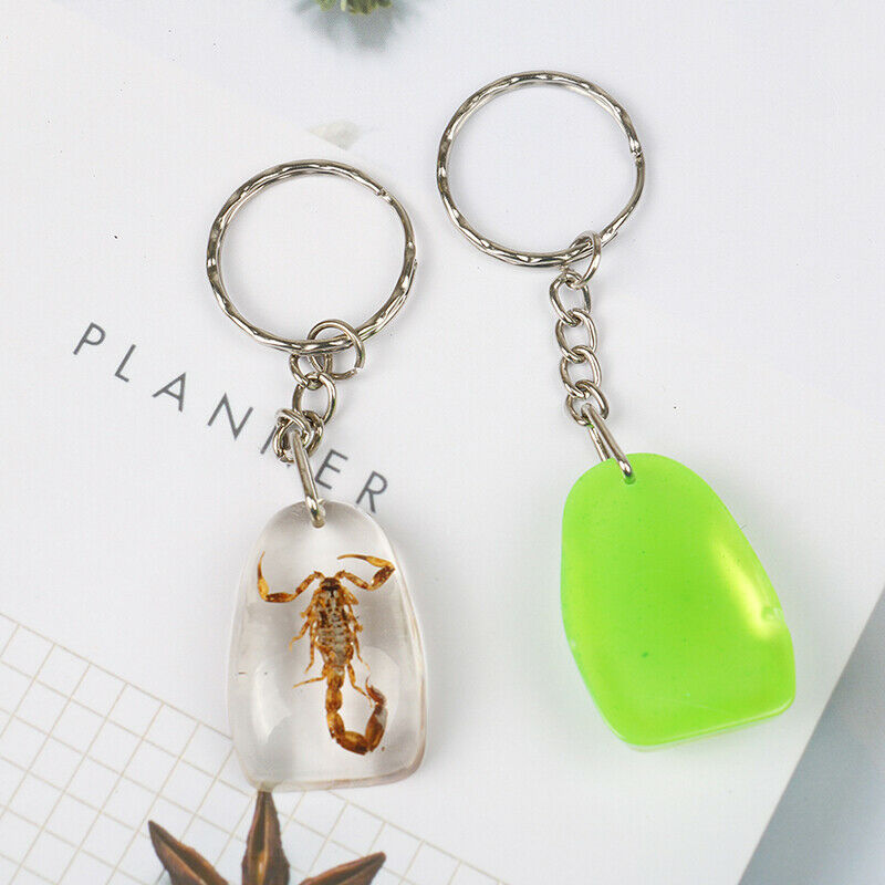 Artificial Amber Keychain Flat-Bottomed Water Drop Insect Specimen Key Pend DF