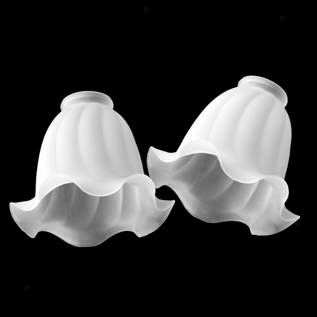 2Pcs Ceiling Light Shade Suitable for Chandelier, Ceiling Lamp, Wall Lamp