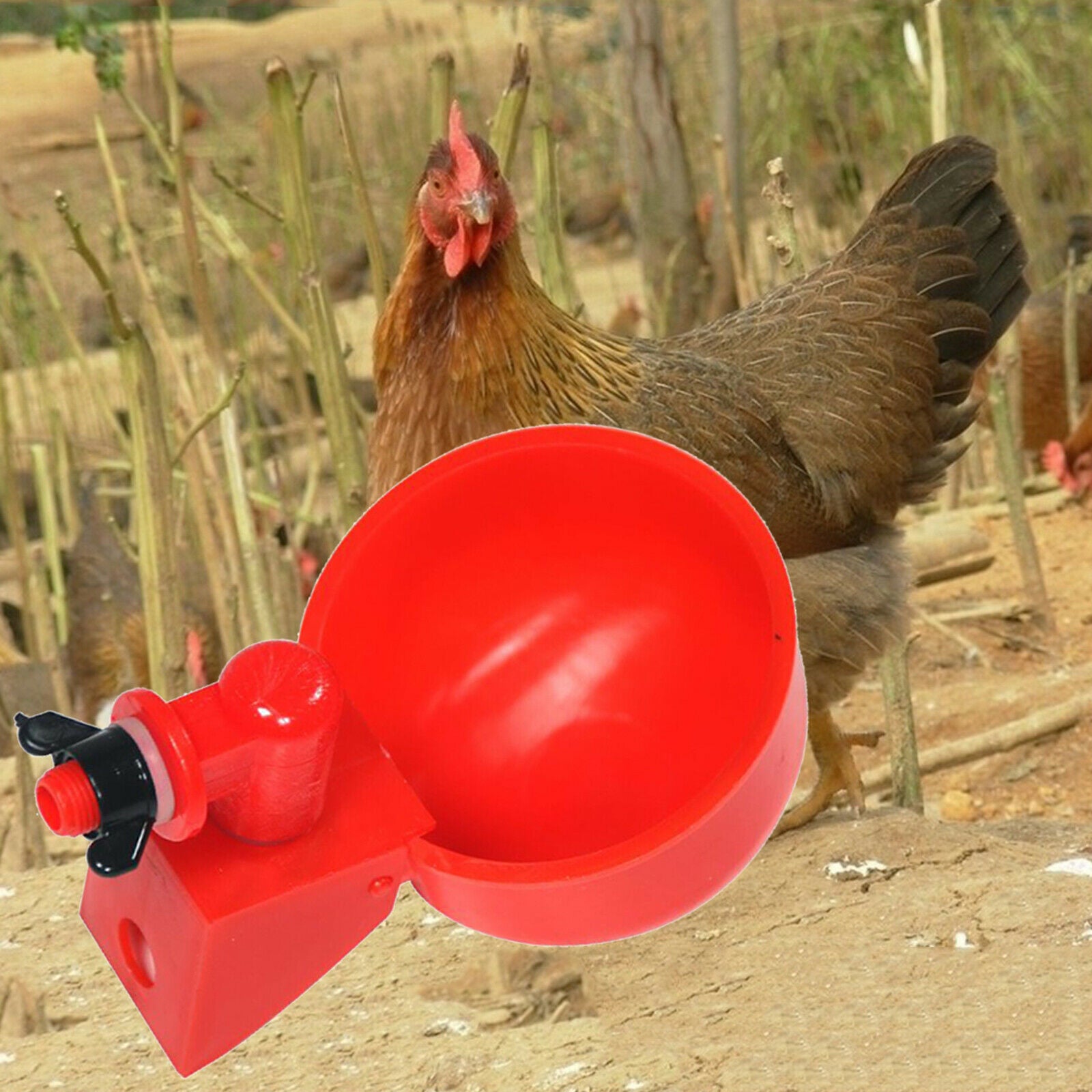 Poultry Watering Cups Drinker Bowl Backyard Plastic Waterer Goose Feeder