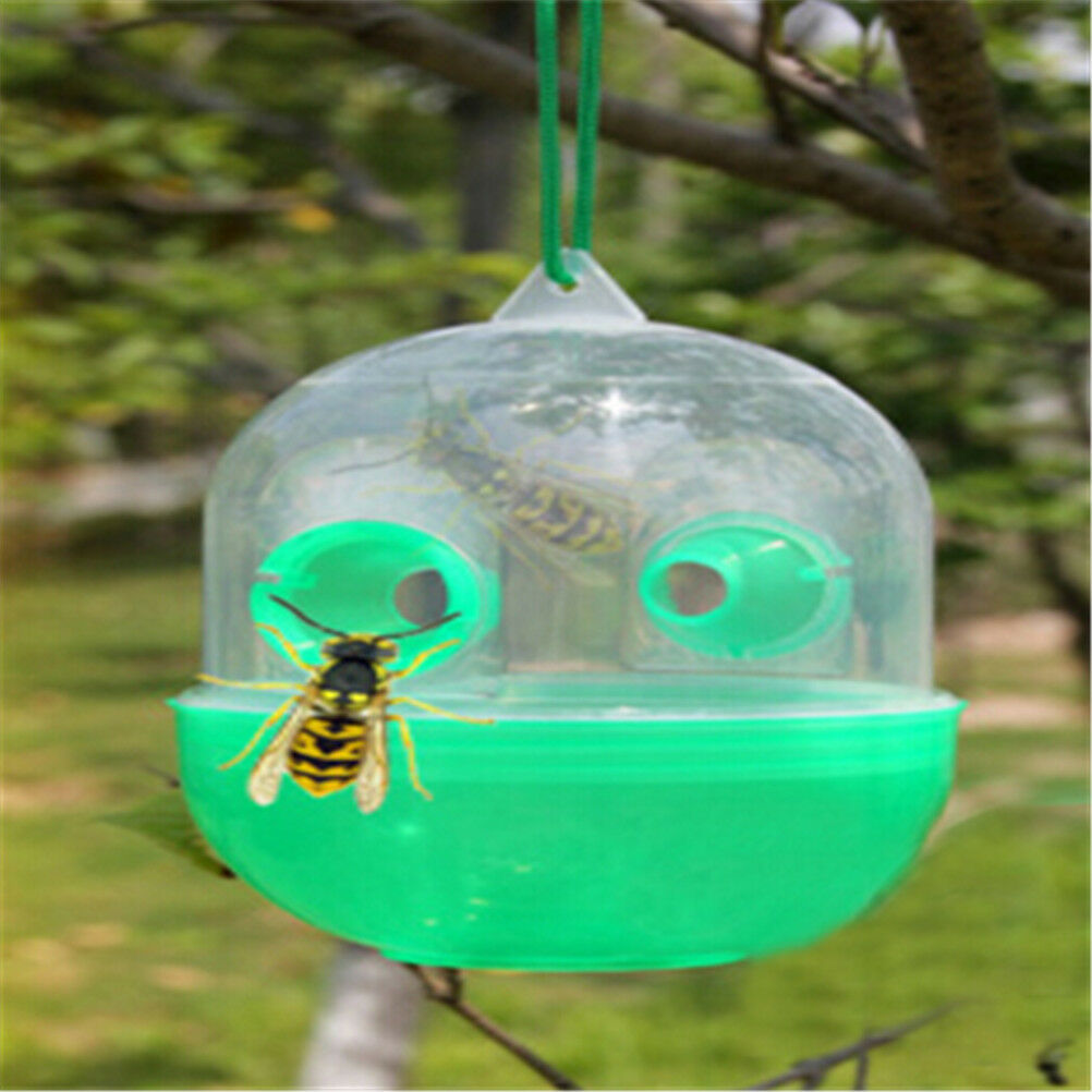 Outdoor Wasp Fly Trap Catcher Beekeeping Equipment Tools for Wasps Bees Horn DD