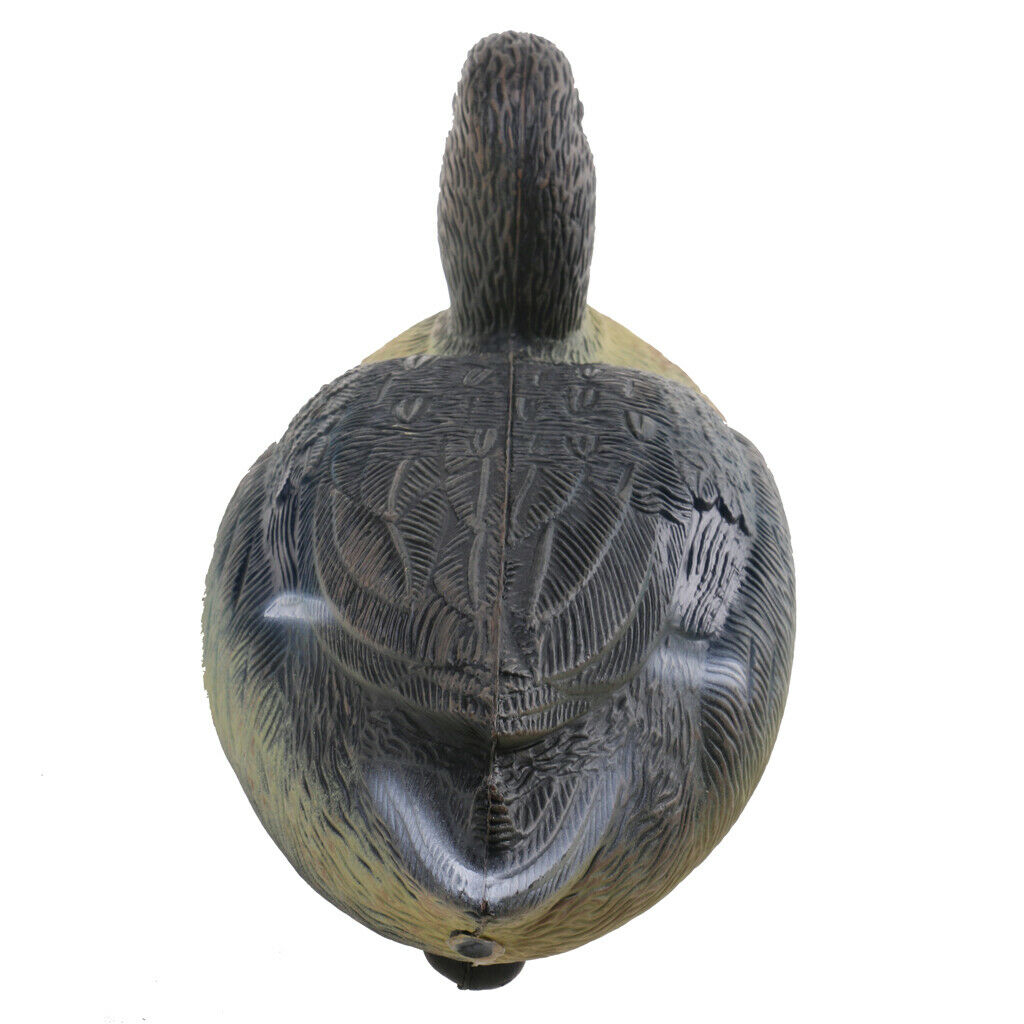 2 Pieces Duck Decoy, Realistic Simulation Male Duck Decoration Hunting Bait for