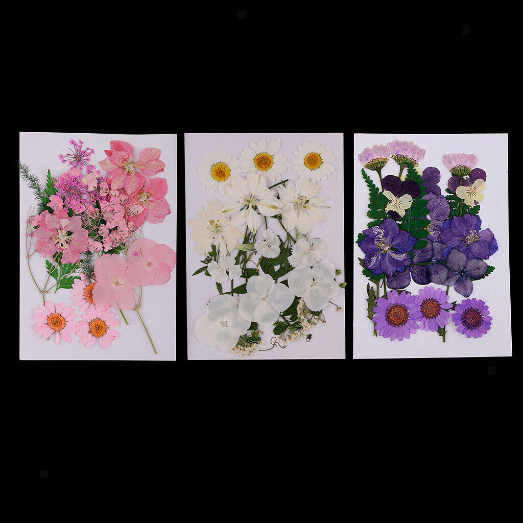 3 Bags Mix Natural Dried Pressed Flowers, Leaves, Crafts And Crafts 2-3.5 Cm