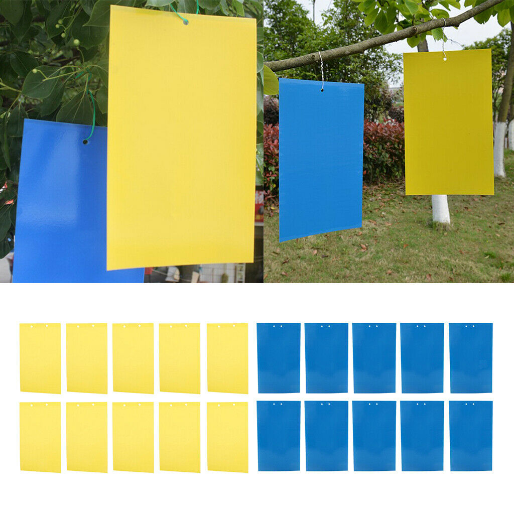 2 Sides Sticky Insect Traps Bug Pads for Insect Useful Catchers Traps Yellow
