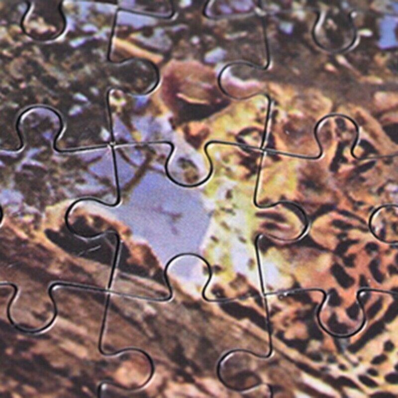 1000Pcs Jigsaw Landscape Animal Universe Puzzle Leisure Toys Forest Lodge B3A4