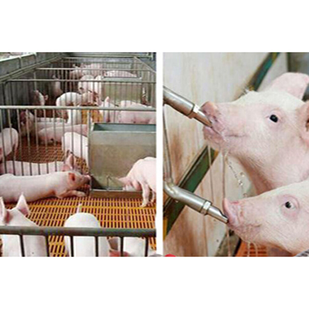 Pig Swine Livestock Stainless Steel Waterer Drinkers Nipples Water Drinking BDA