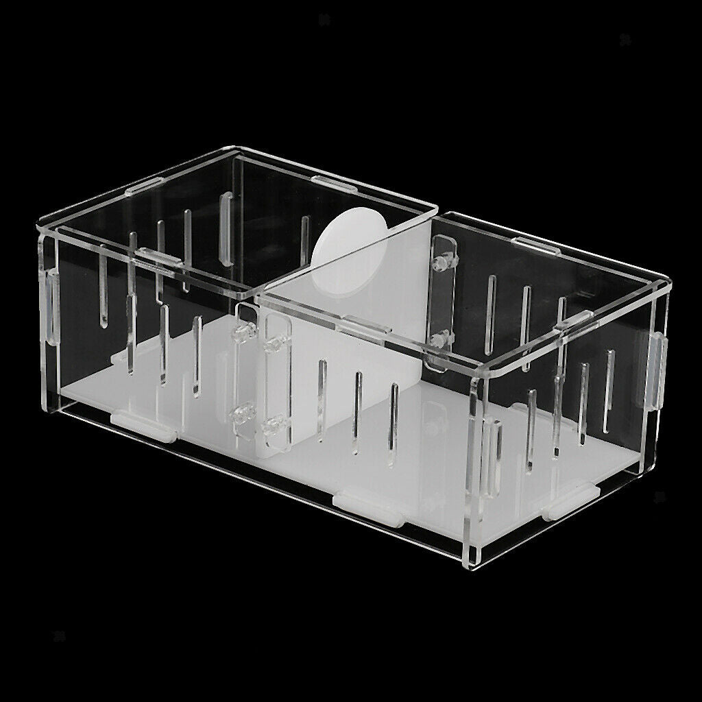 High Transparency Acrylic Reptile Cricket Cage, Fighting Box