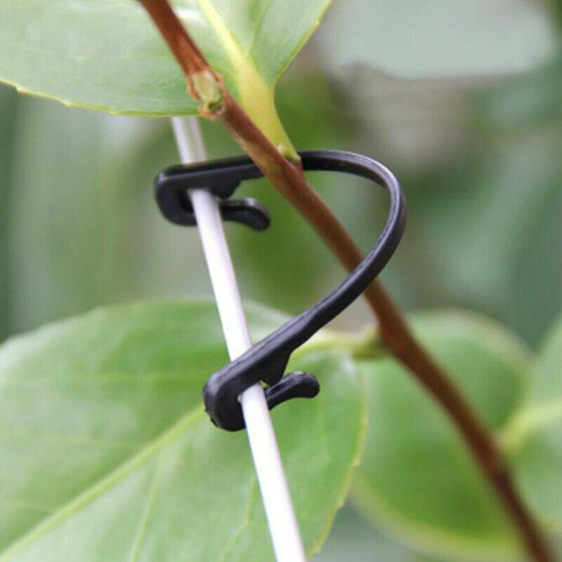 50x Vines Fastener Tied Buckle Plant Vegetable Grafting Clips Agricultural Rf