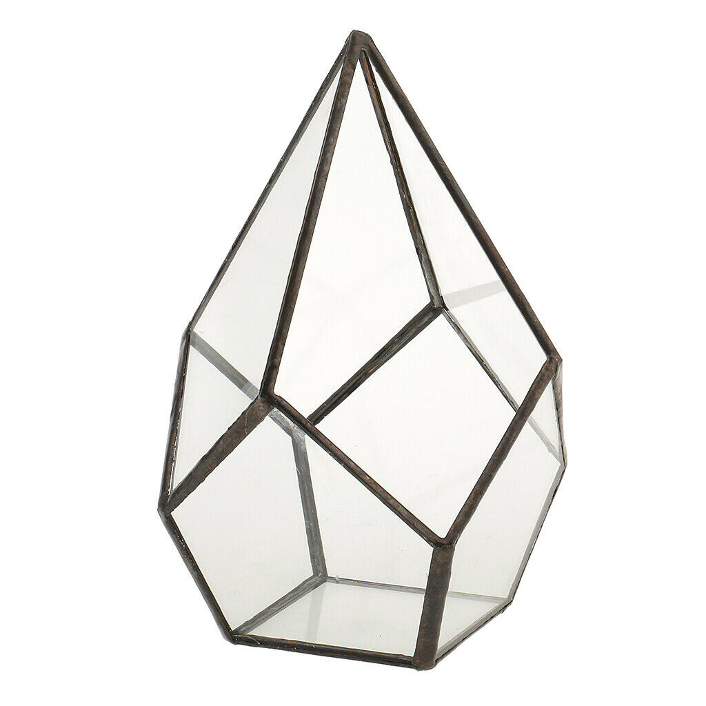 Clear Glass Terrarium Box Open Fern Moss Succulent Planter Case Flower Pot
