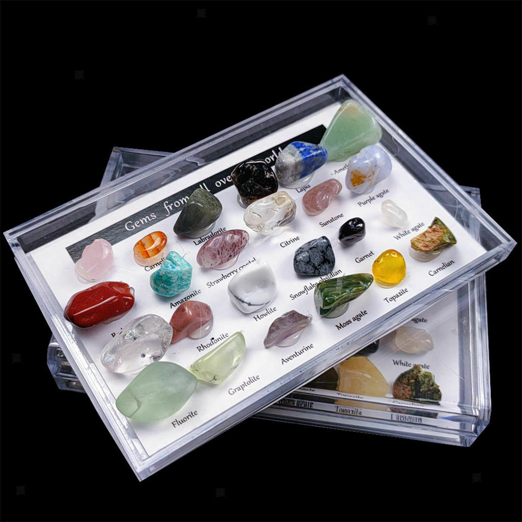 24 Pieces Rock and Mineral w/ Display Case Geography Education for Kids