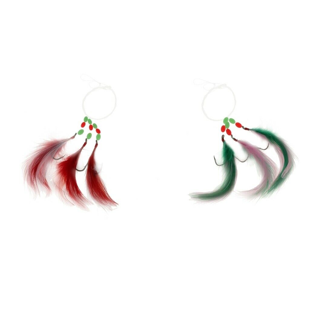 Premium 2 Pieces Fishing Floating Bait Mackerel Rigs Skirted Trolling Feather