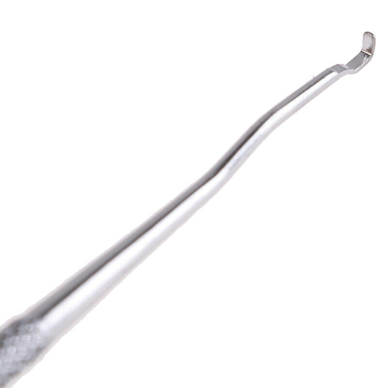 European Beekeeping Dual Head Stainless Bee Needle Rearing Bee Grafting J.l8