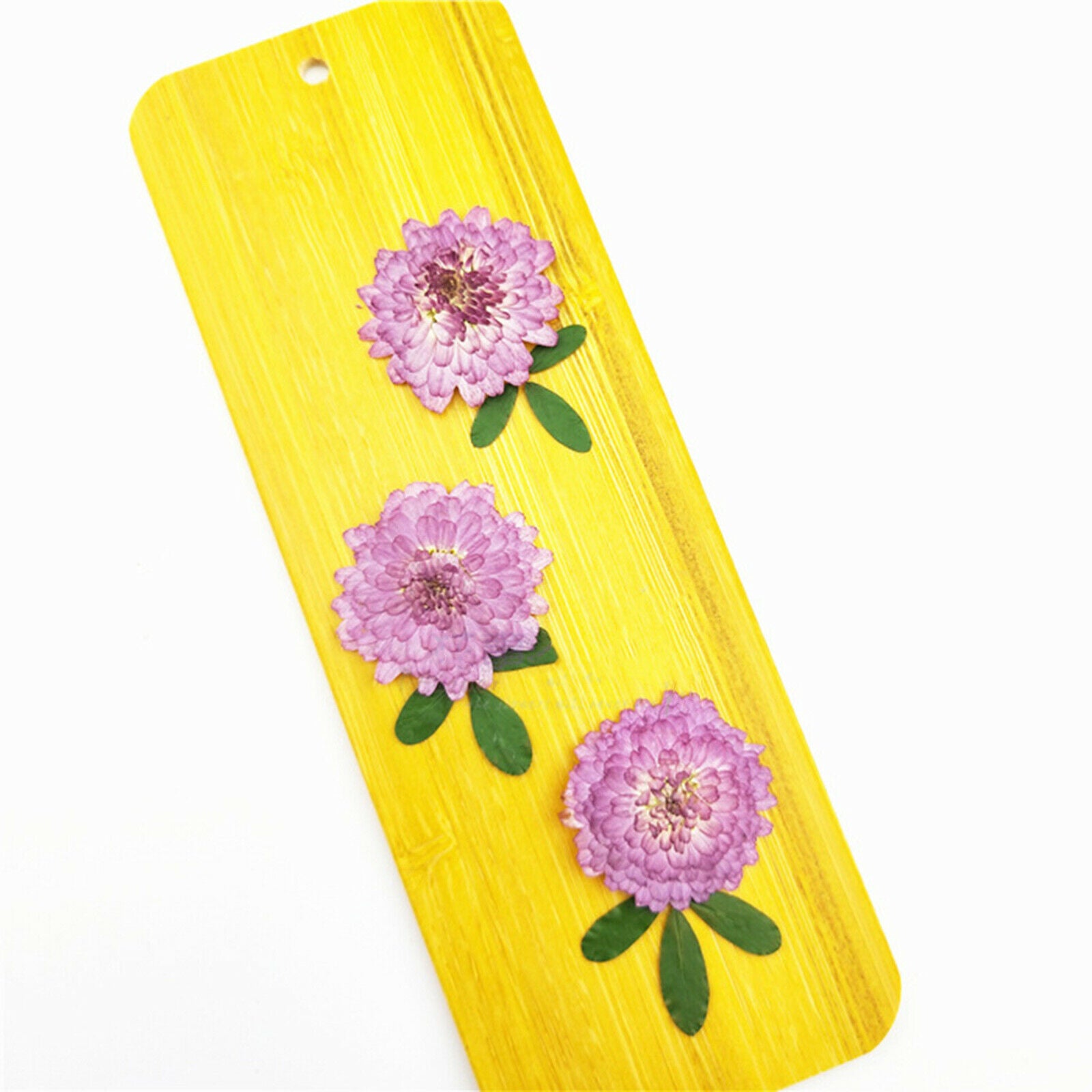 24pcs Pressed Dried Flower Leaves DIY Bookmark Nail Arts Embellishments