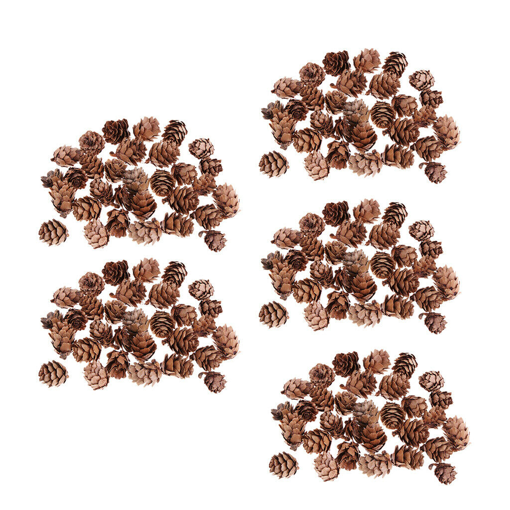 150x Real Natural Small Pine Cones in Bulk for Accents Decoration Ornament