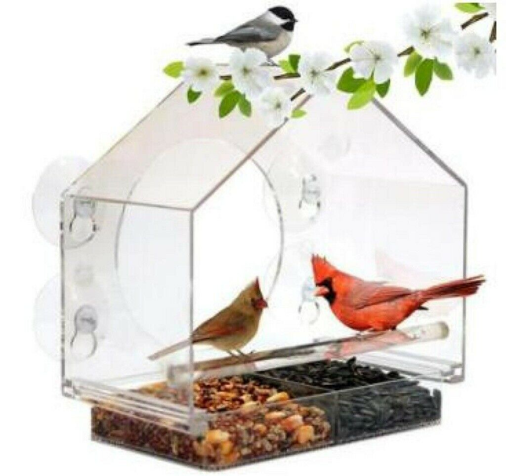 Acrylic Transparent Window Bird Feeder Large Weather Suction Cups Birds House