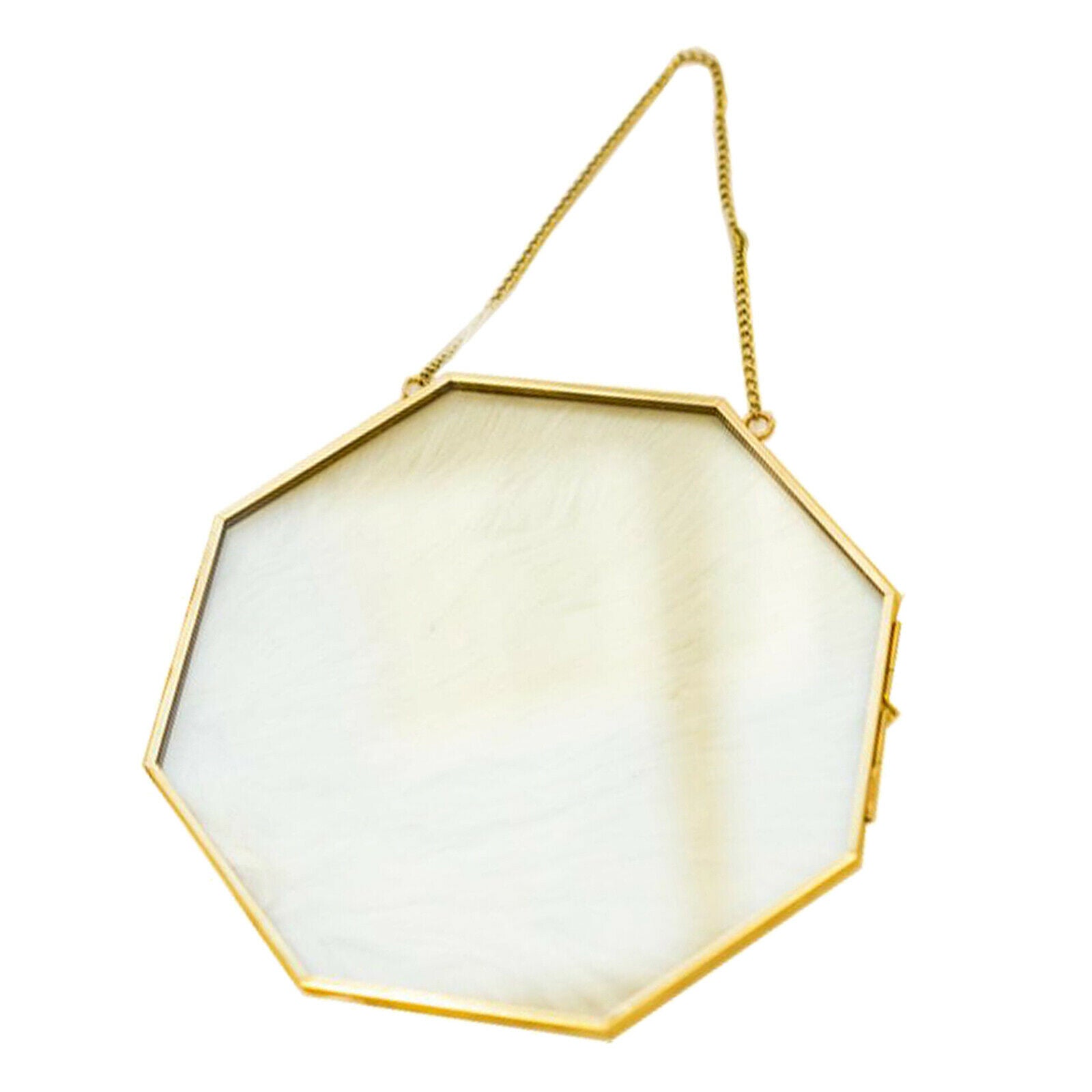 Brass Hanging Photo Frame Picture Frames Clip for Display Plant Specimen