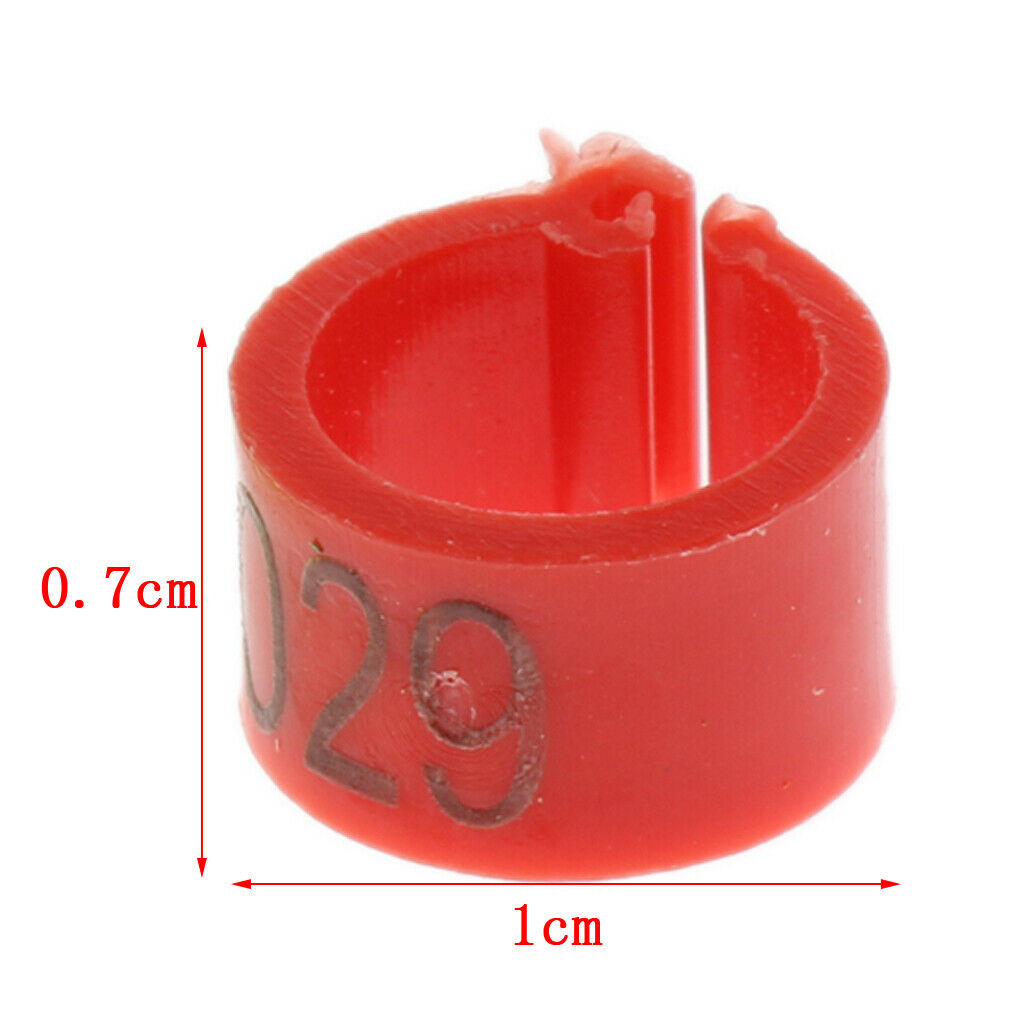 50x Bird Rings 7mm Leg Bands Pigeon Foot  Chicks Bantam Poultry Colourful AU