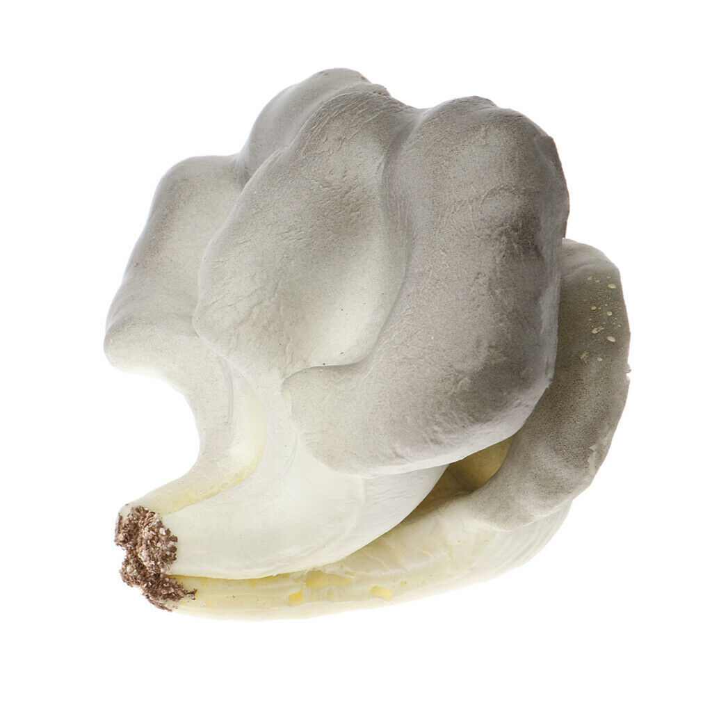 Realistic Artificial Fruits yster mushroom for Home Kitchen Decoration