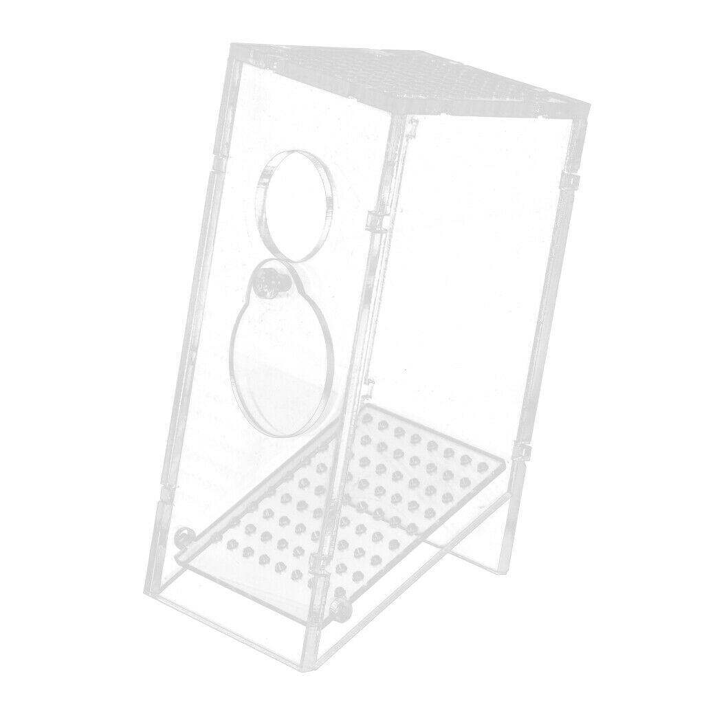 Clear Aquarium   Catcher Bait Box Aquatics Pest Trap Snail Trap, 14x6x6cm