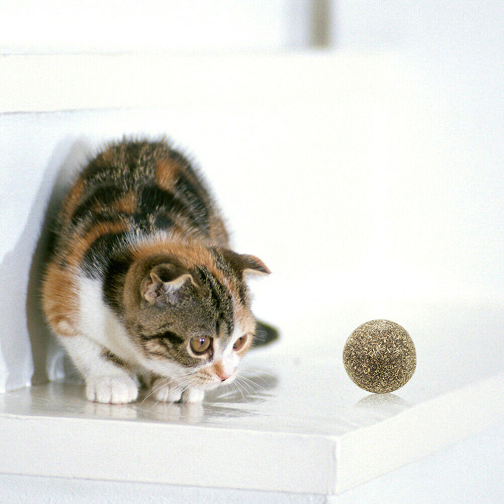 Pet Cat Natural Catnip Treat Ball Home Chasing ys Healthy Edible Treating Fx