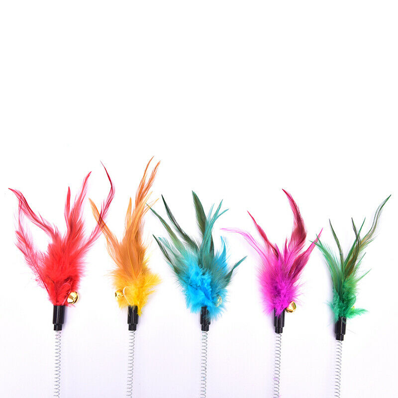 Feather  Cat Toys Feather Funny Cat Shape False Products Bottom Sucker Elastic