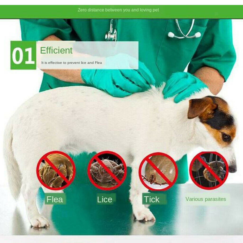 Cat Skin Care Spray Deworming Flea Treatment Drops Anti-flea 120ml