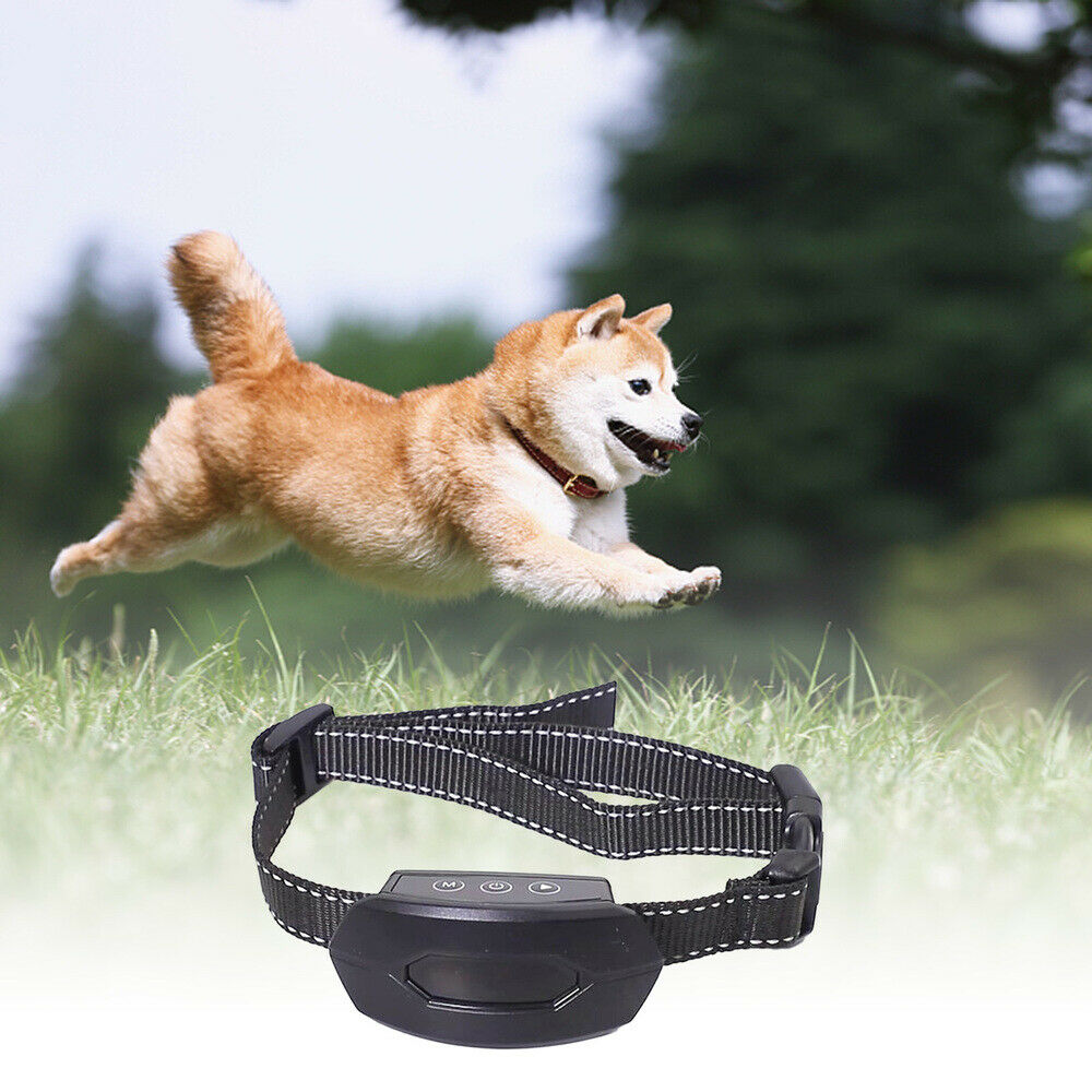 Waterproof Ultrasonic  Dog Training collar E-Collars For Small Medium Large Dogs