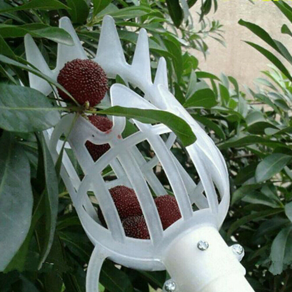 1Pc Plastic Fruit Picker Without Pole Fruit Collector Gardening Picking T.l8