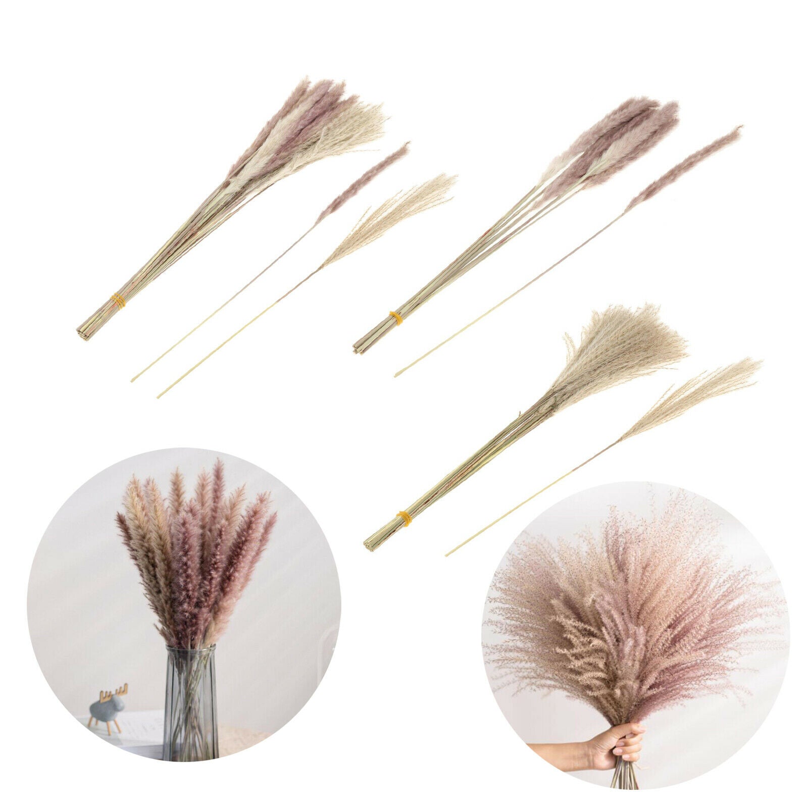 Pack of 70 Natural Dried Pampas Grass Home Party Boho Decor Photograph Props