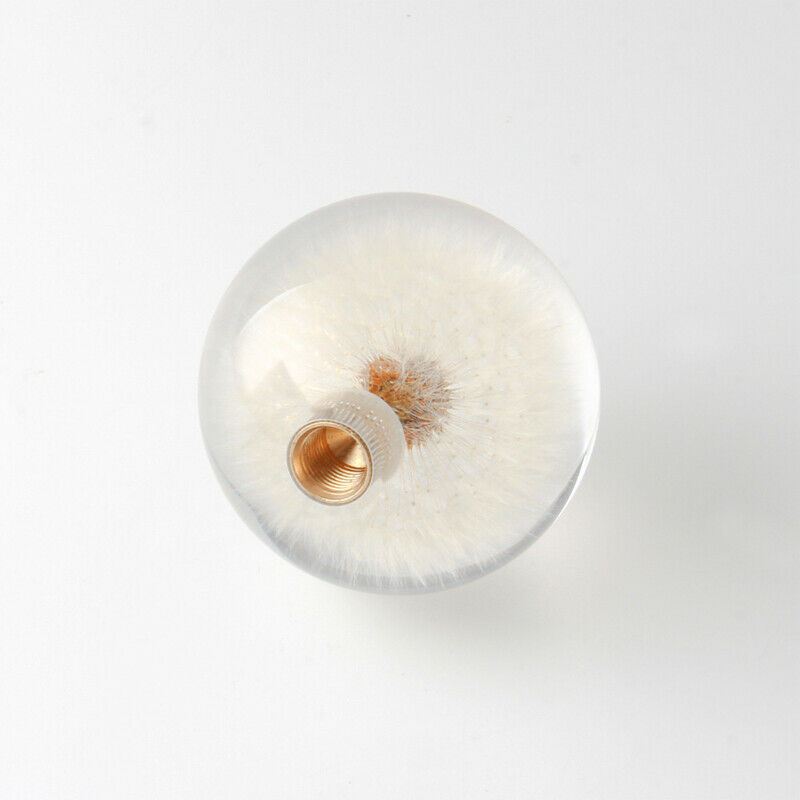 Car Shift Knob Head 70MM Crystal Ball with Dandelion Real Flowers M8 M10 Adapter