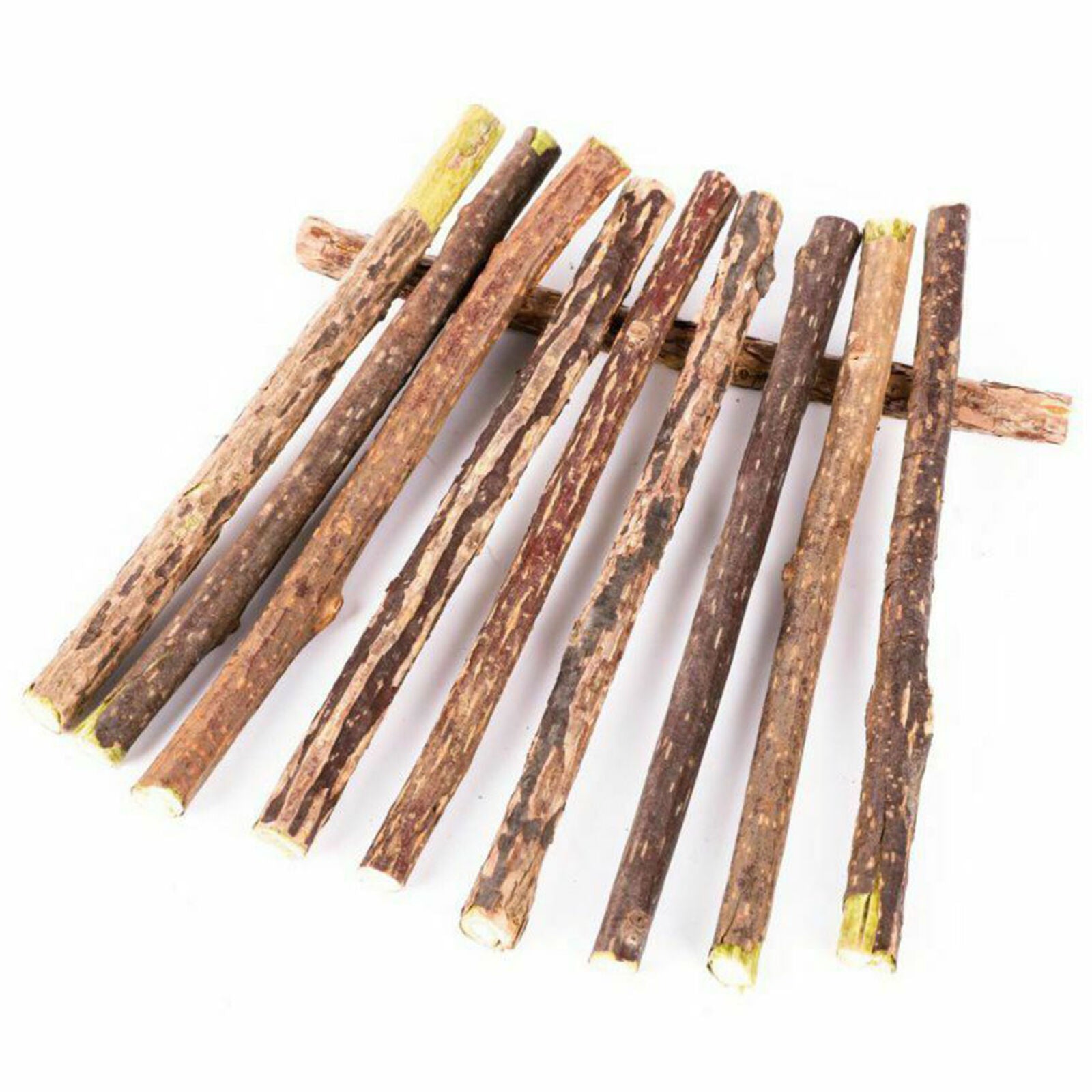 Cat Cleaning Teeth Catnip Pet Cat Molar Toothpaste Silvervine Cat Snacks Sticks