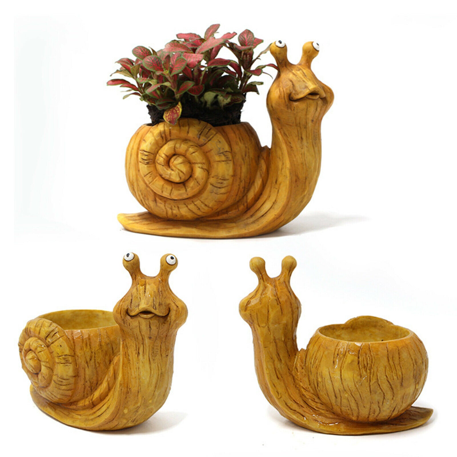 Succulent Flower Pot with Drainage Snails Garden Planter Cactus Holder