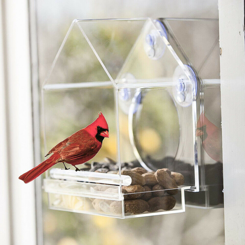 Acrylic Transparent Window Bird Feeder Large Weather Suction Cups Birds House