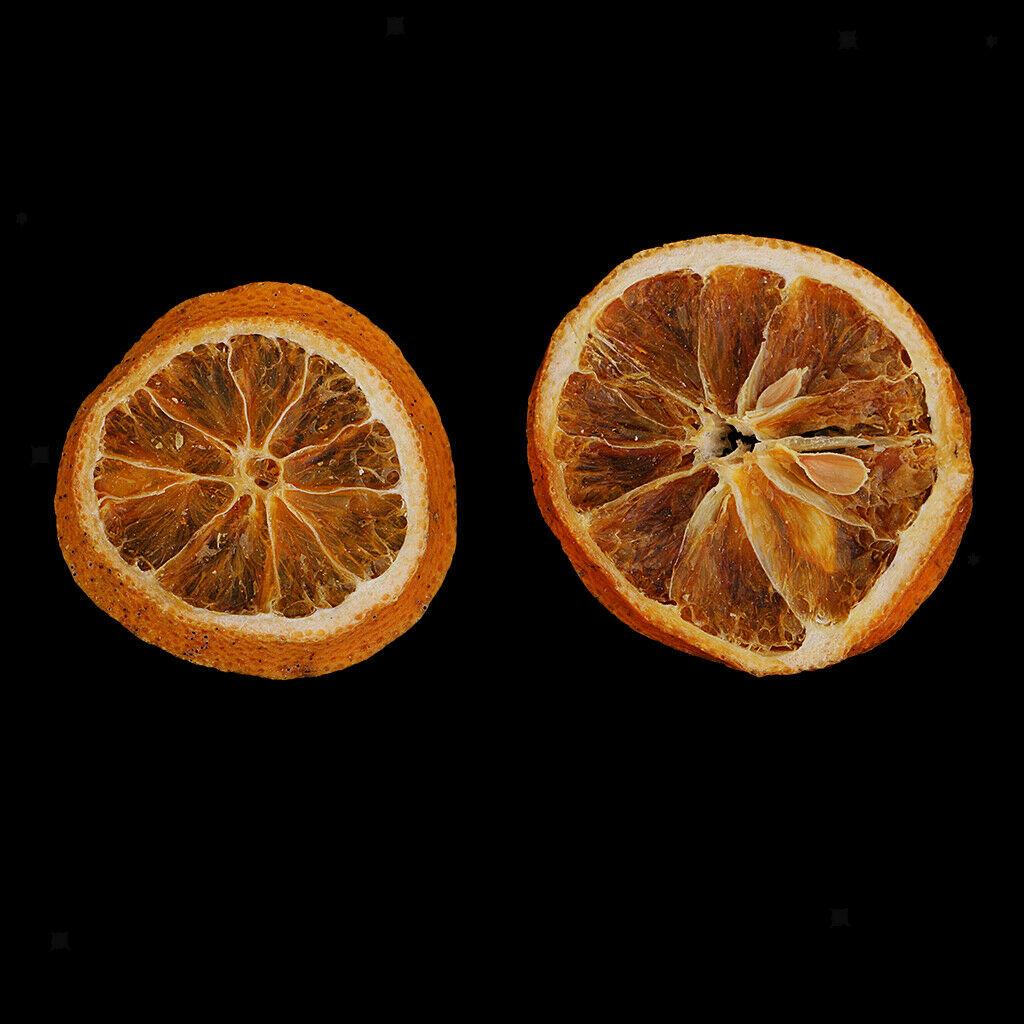 10pcs Pressed  Fruits Orange Slices Dried for