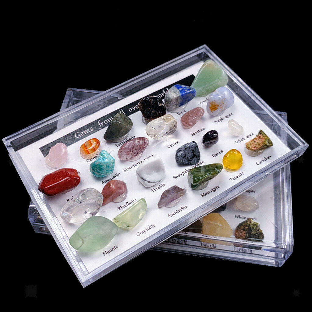 24x Rock and Mineral Mining Experimental Kit & Collection Box Education