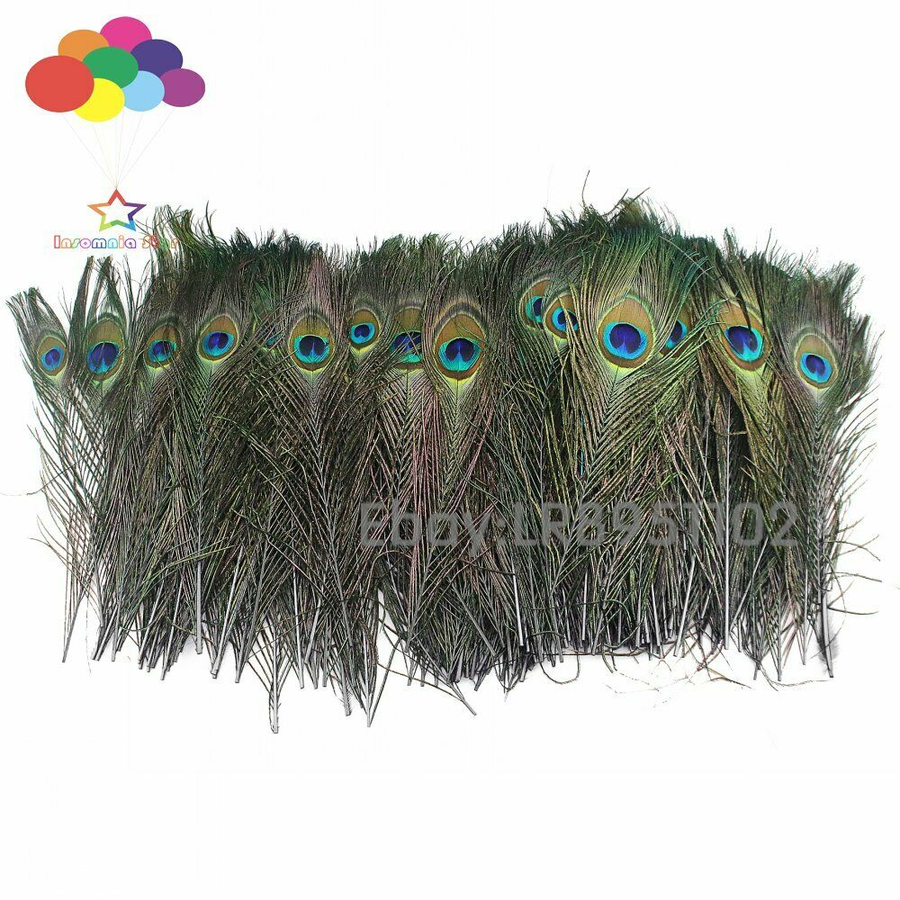 100pcs 25-30 cm Beautiful Black Peacock Tail Feathers Eyes Decorations Art Dress