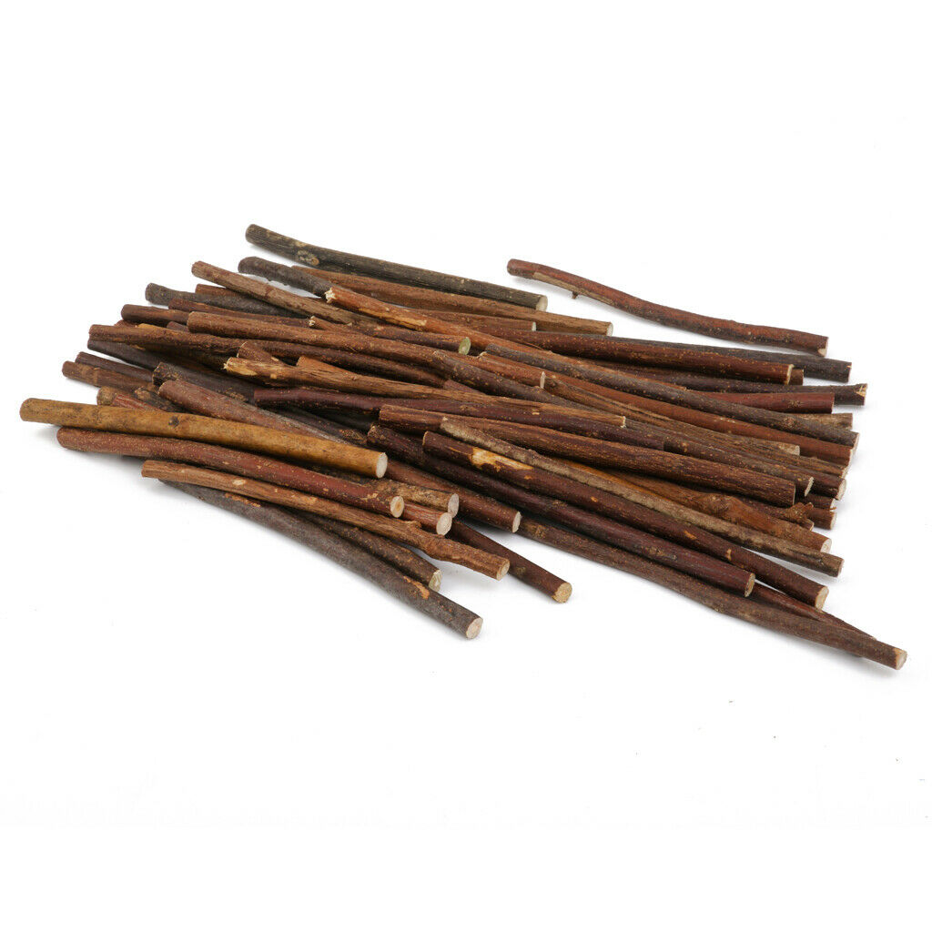 100pcs Natural Boxwood Tree Branch Sticks Branch for DIY Craft Decor