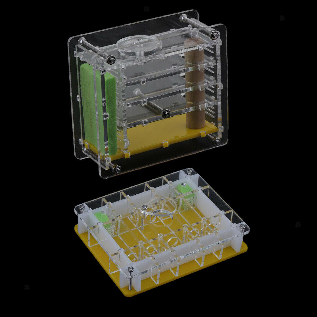 2pcs/set Ant Housing Nest Insect Cage Educational Formicarium for Live Ants