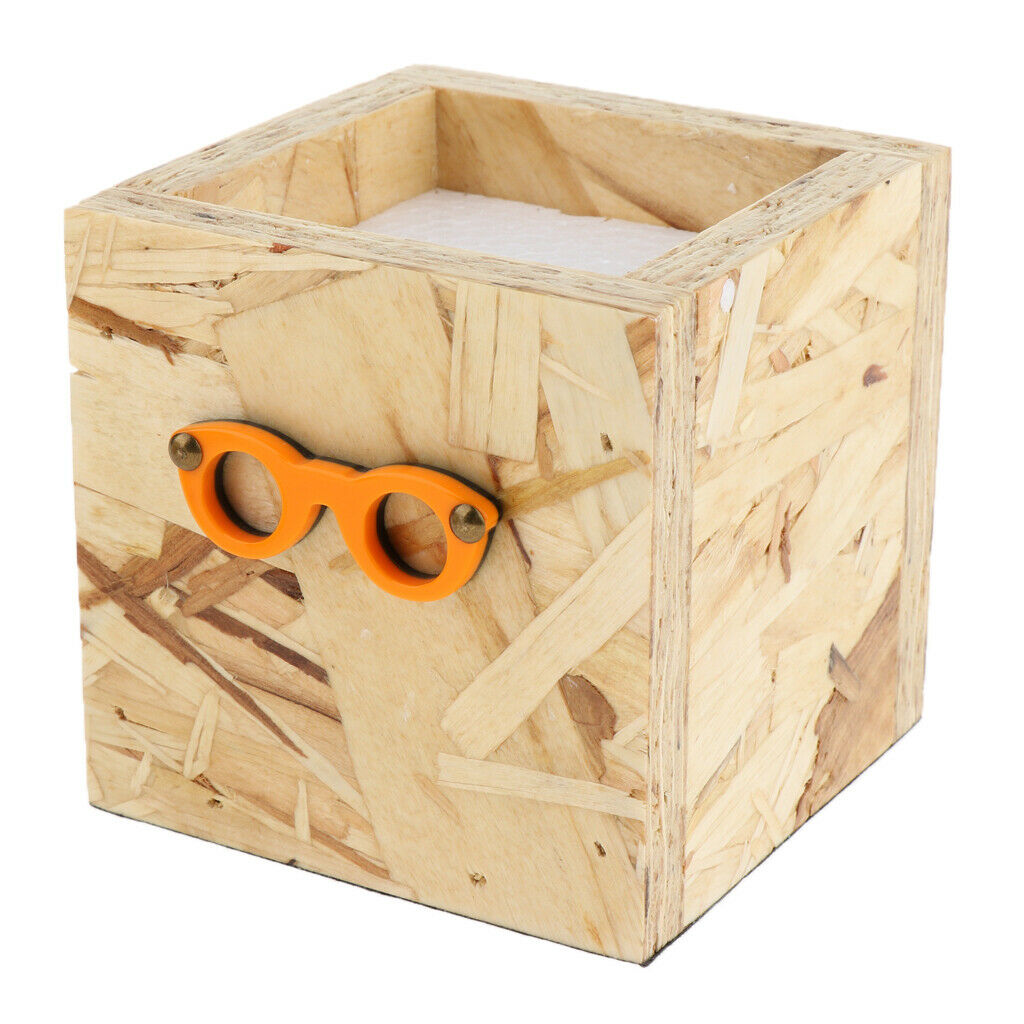 Eyeglasses Store Decoration Wooden Office Flower Pot Shop Decoration