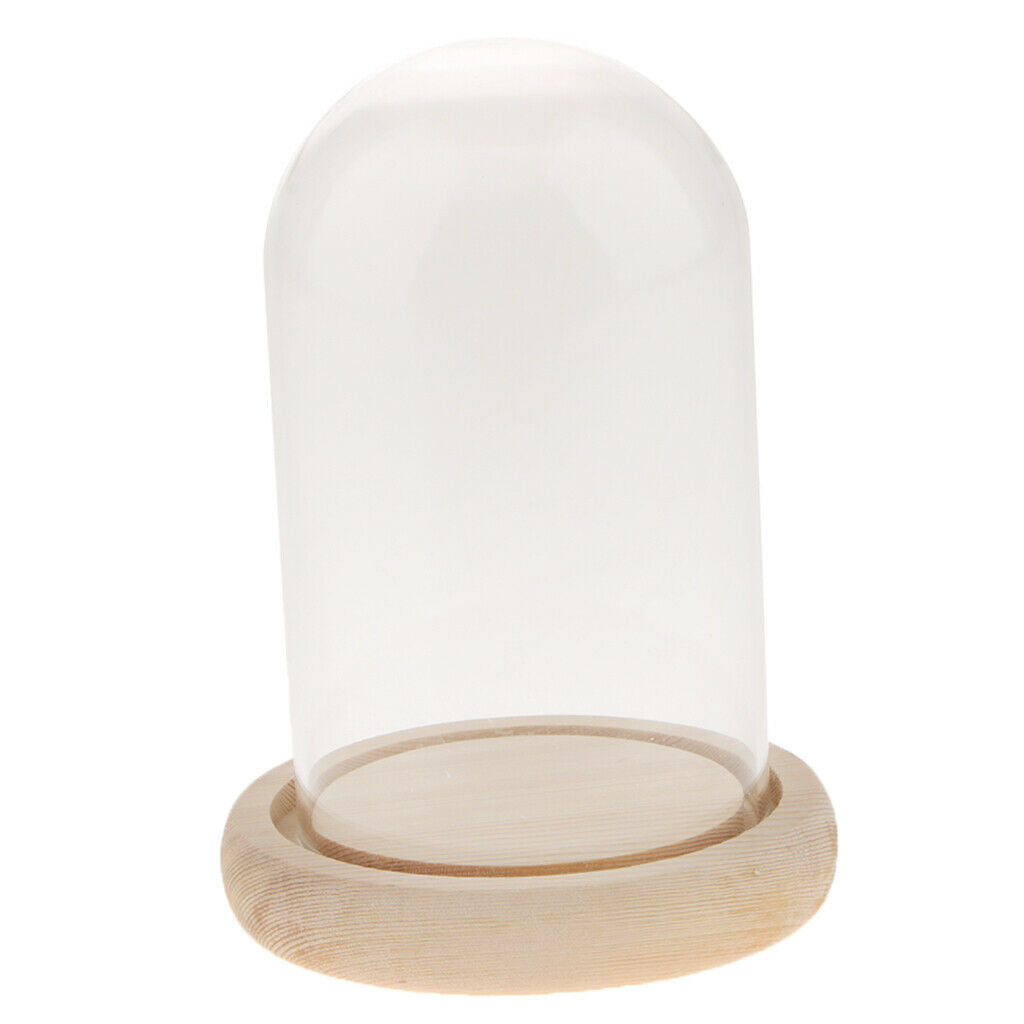 Glass Display Dome Cloche Bell Jar With Wooden Base for DIY Decoration #A