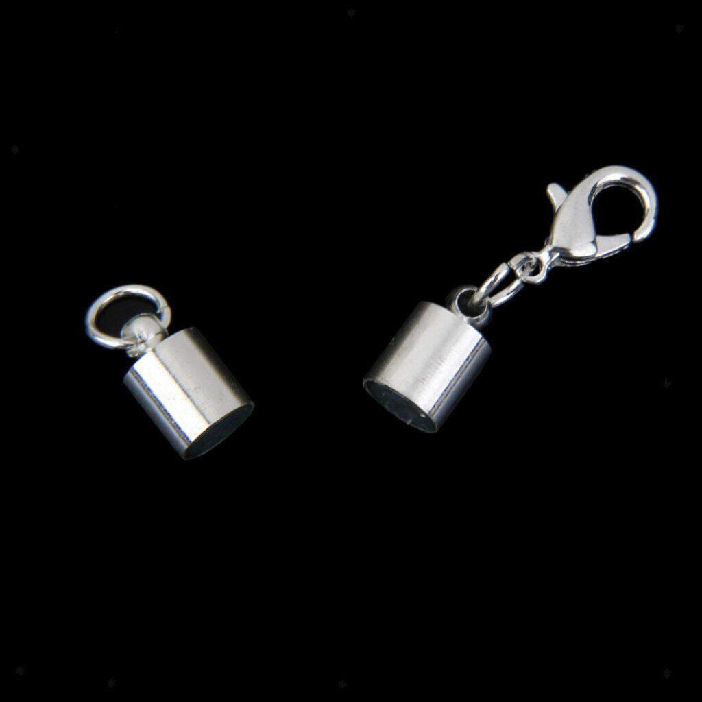 2X 10 Sets Magnetic Clasps with Two Sides Lobster Hook Converter for Bracelets