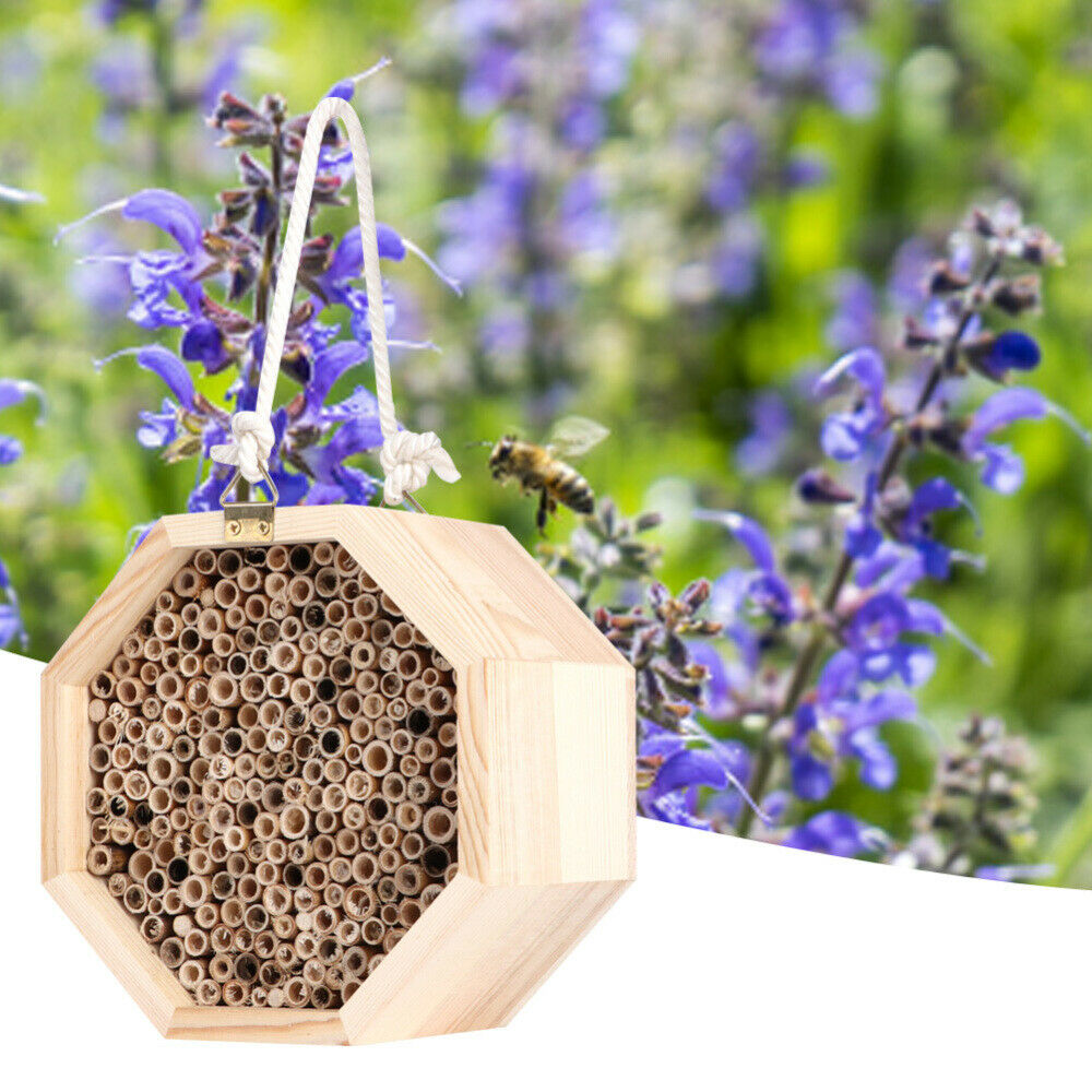 Handing Wooden Insect Bee House Natural Wood Bug Shelter Garden Nest Box Decor