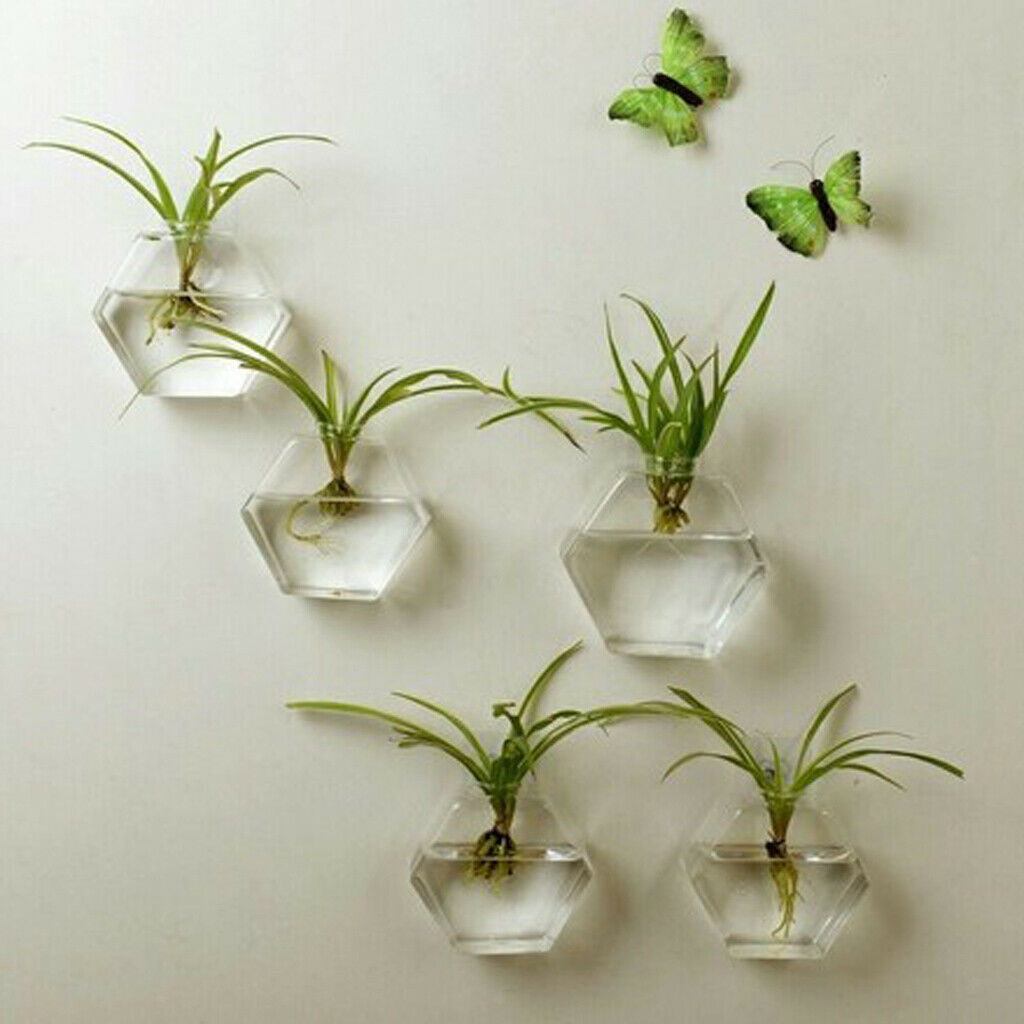 3 x Clear Hexagon Hanging Planters Small Fish Tank Wall Art Decor 13cm