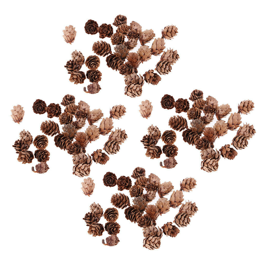 120pcs Natural Decorative Pine Cones Pinecone for Florists Crafts Decoration