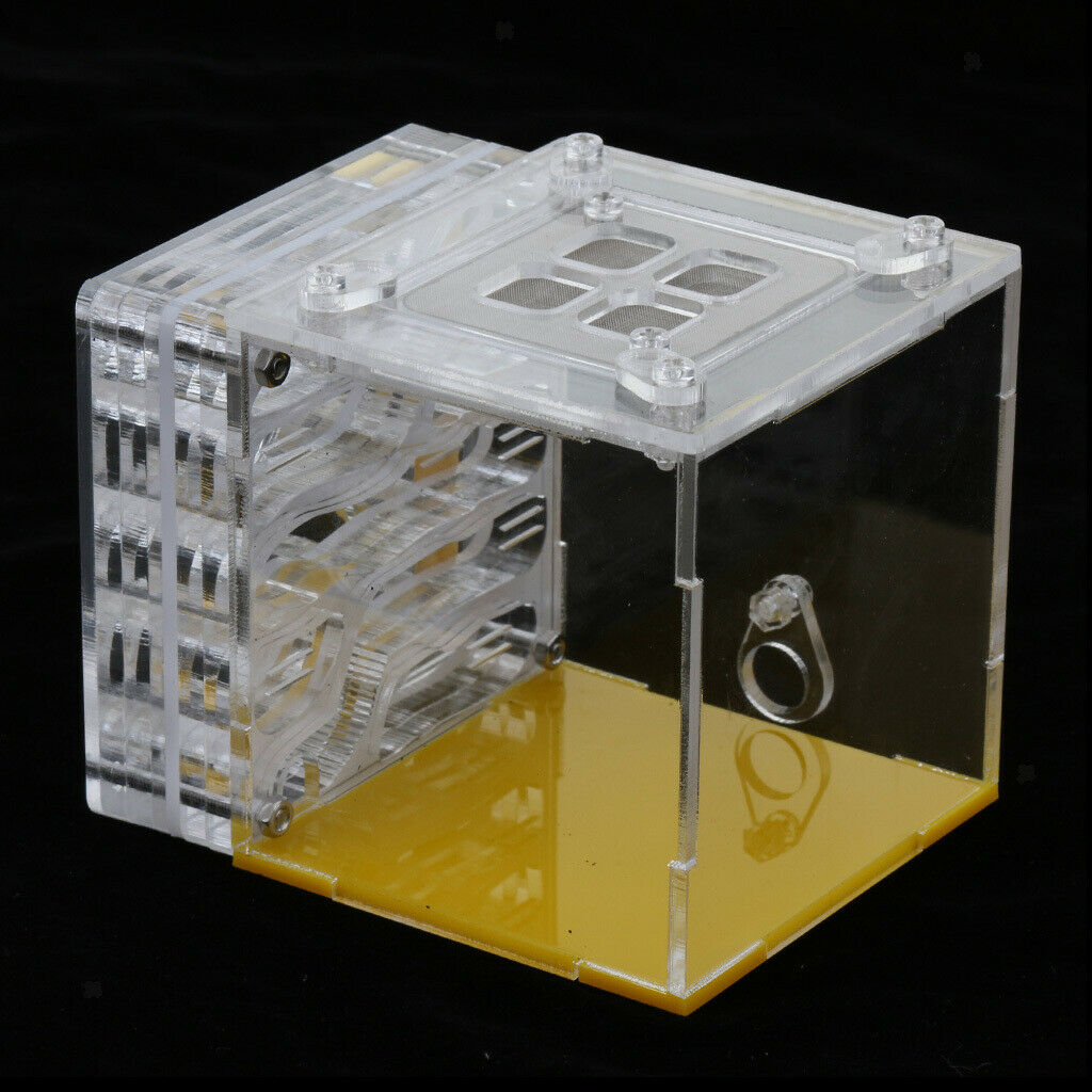 Square Ant Feeder Farm Water Erea For Insect Ant Nests Transparent 10x8x8.3cm