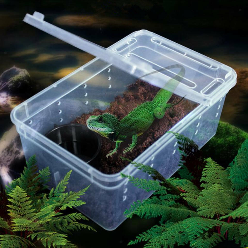 2Pieces Reptile Water Feeding Box Turtle Hatching Box Lizards Tortoise Frogs