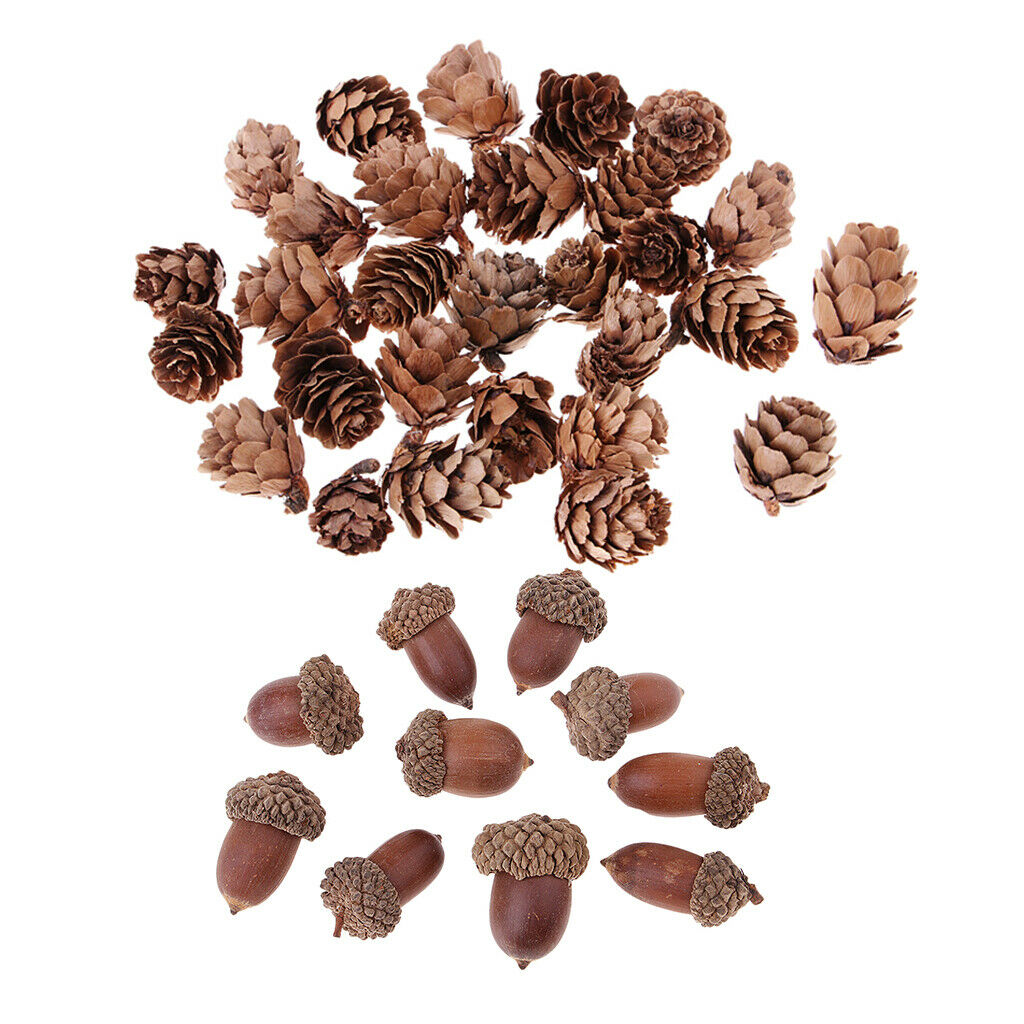 40 Pieces Natural Mini Pine Cones Dried Acorns Accents Table Ornaments Home Room