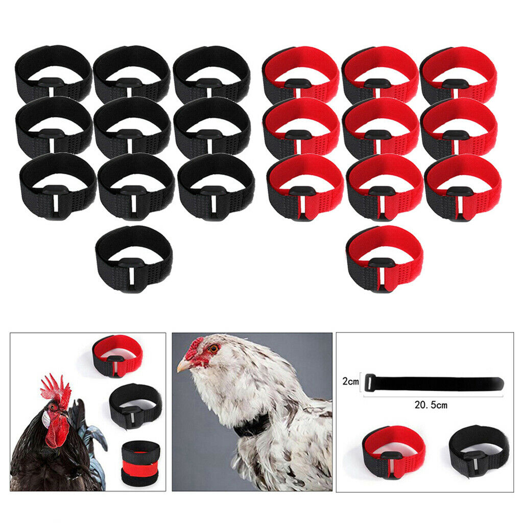 20x Rooster Collar Prevent Chicken from Disturbing Neighbors for Duck Goose